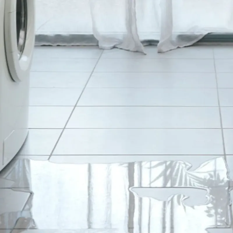 Appliance Leak Cleanup in Washington County, NC