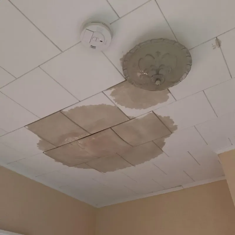 Ceiling Water Damage Repair in Washington County, NC
