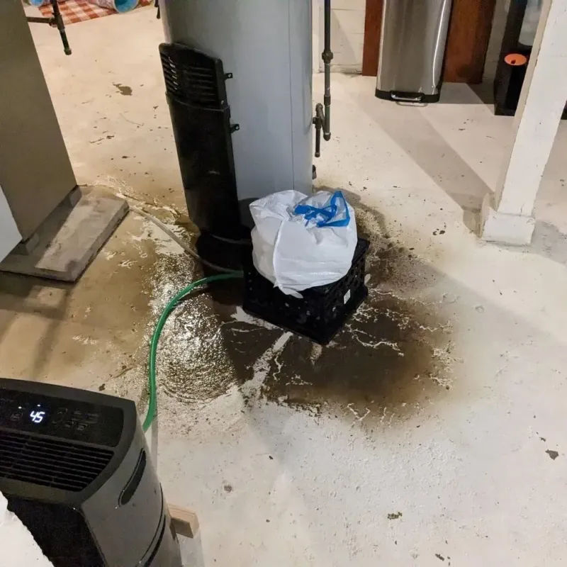 Sewage Backup Cleanup Service in Washington County, NC